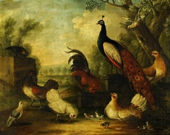 A Group of Ornamental Fowl in a Landscape by Marmaduke Cradock