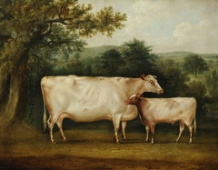 A Prize Cow and Calf in a Rural Wooded Landscape by Thomas Weaver