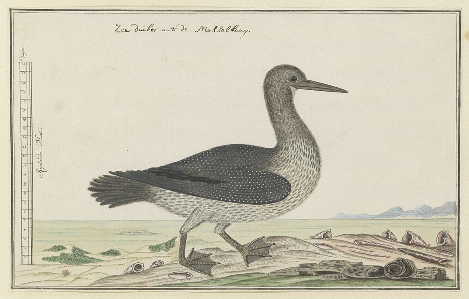Exhibit image