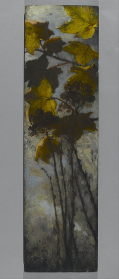 Autumn Foliage by Elizabeth Boott