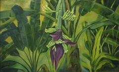 Banana Tree by Artist Ajayan