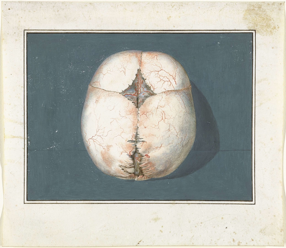 Exhibit image