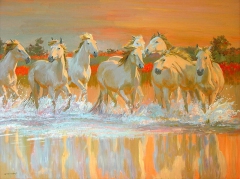 Camargue by William Ireland