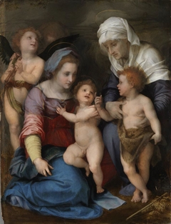 Die Heilige Familie by Andrea del Sarto