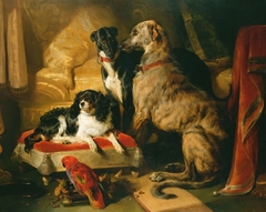 Hector, Nero, and Dash with the parrot, Lory by Edwin Henry Landseer