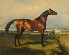 Horses in freedom by Alfred de Dreux