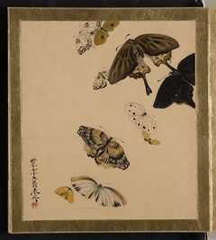 Lacquer Paintings of Various Subjects: Butterflies by Shibata Zeshin