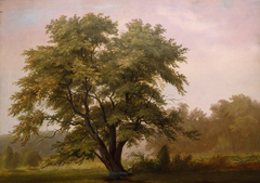 Landscape with Large Tree by Reuben Oliver Luckenbach