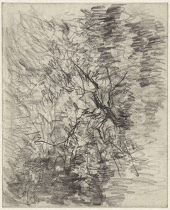 Landschap met struik by Egbert Rubertus Derk Schaap