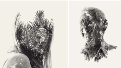 MIss Shyness / Old as a Tree by Christoffer Relander