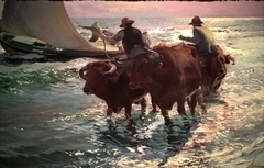 Oxen in the Sea by Joaquín Sorolla