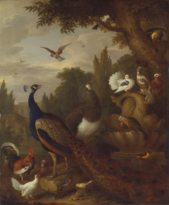 Peacock, peahen, parrots, canary, and other birds in a park by Jakob Bogdani