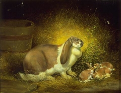 Rabbit and Young by William Watson