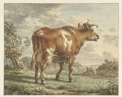 Roodbonte koe in een landschap by Jacob Cats 1741-1799