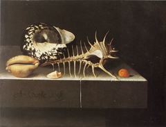 Seashells by Adriaen Coorte