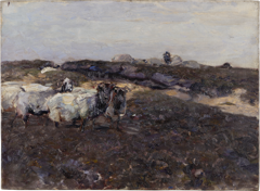 Sheeps in Moorland by Heinrich von Zügel