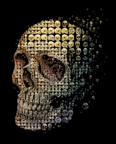 Skull Evolution by Charis Tsevis