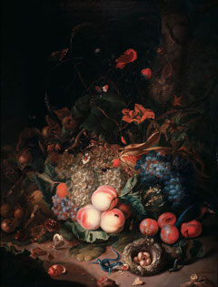 Still Life by Rachel Ruysch