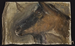 Study of a goat’s head by Tadeusz Makowski