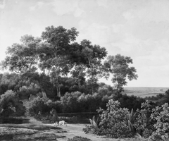 The Game Reserve near Arnheim by Johan le Ducq