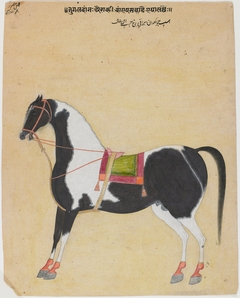 The Iraqi Steed Jugaldan by Bhavanidas