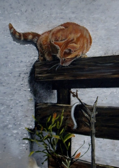 The Shepard's Cat by Barry Westcott