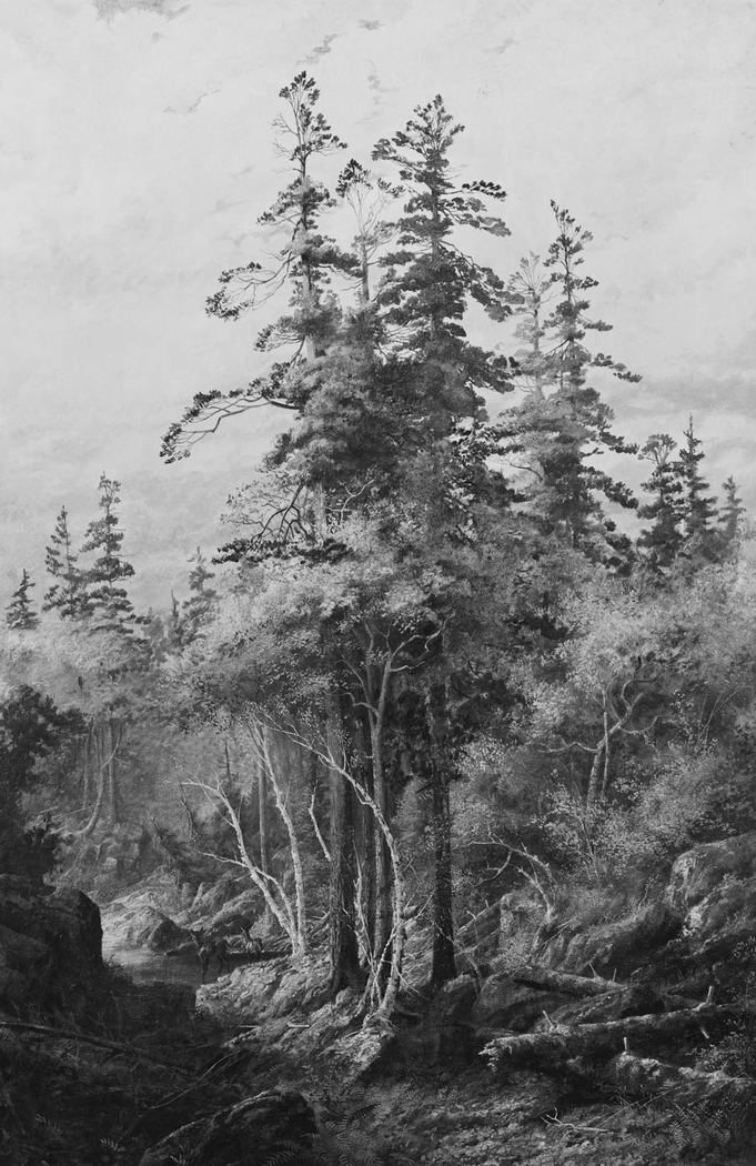 Exhibit image