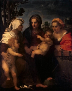 The Virgin and Child with St Catherine, St Elizabeth and St John the Baptist by Andrea del Sarto