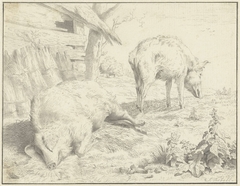 Twee varkens bij hun hok by Jan Kobell II