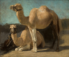 Two Camels by Henryk Rodakowski