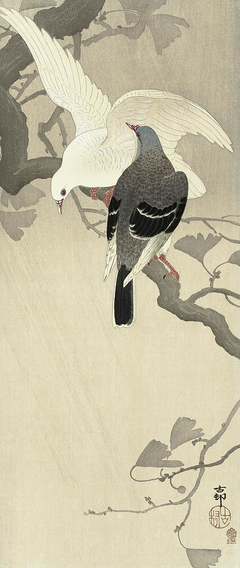 Two pigeons on a branch by Ohara Koson