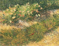 Lawn with butterflies by Vincent van Gogh