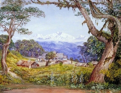 View of Kinchinjunga from Tonglo by Marianne North