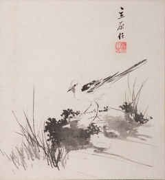 Wagtail on a Rock by Kyōsho