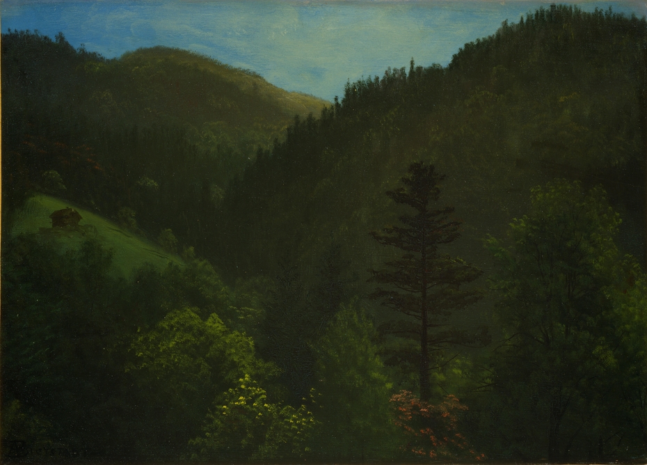 Exhibit image