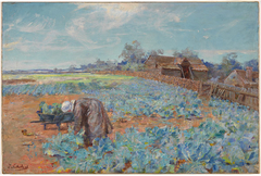 A Cabbage Garden by Jane Sutherland