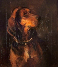 A Dog's Head by William Simson