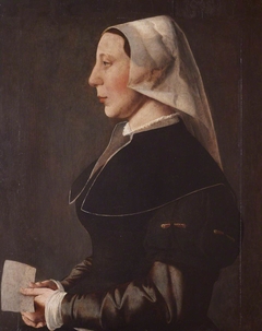 An Unknown Lady by Anonymous