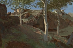 Birch Trees on a Rocky Incline: Fontainebleu by Achille Etna Michallon