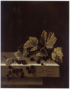 Black Currants by Adriaen Coorte