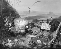 Blomster på en sten. I baggrunden et bjerglandskab by Johannes Ludvig Camradt