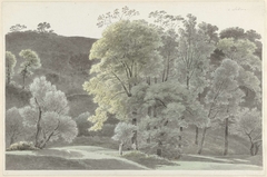 Bomen in de omgeving van Subiaco by Josephus Augustus Knip