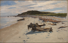 Cape Cod, Beach by Herman Hartwich