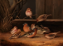 Chaffinches and Redpolls by Ferdinand von Wright