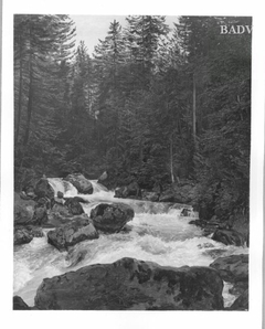 Der Waldbach Strubb bei Ischl by Ferdinand Georg Waldmüller