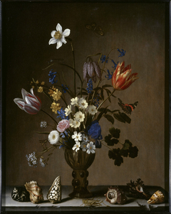 Flowers, Shells, Butterflies, and Grasshopper by Balthasar van der Ast