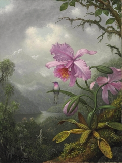 Hummingbird Perched on the Orchid Plant by Martin Johnson Heade