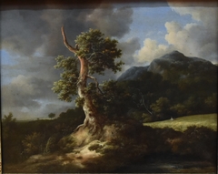 Landscape with Blasted Oak by Jacob van Ruisdael