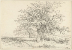 Landschap met drie bomen by Jan Hulswit