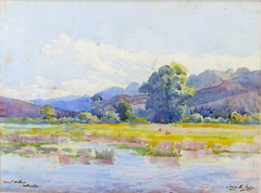 Mount Arthur, Motueka by Francis Edward Nairn